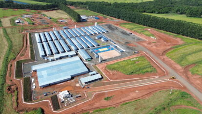 No meio do Cerrado, uma fábrica da Arauco vai parir uma cidade
