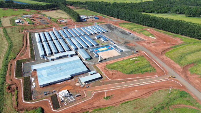 No meio do Cerrado, uma fábrica da Arauco vai parir uma cidade