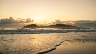 La Mare Campeche: o novo ícone frente mar da CFL em Florianópolis