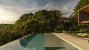 Paisagismo brasileiro desabrocha à sombra das tamareiras em flor