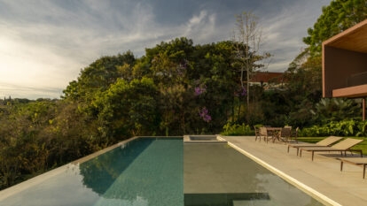 Paisagismo brasileiro desabrocha à sombra das tamareiras em flor