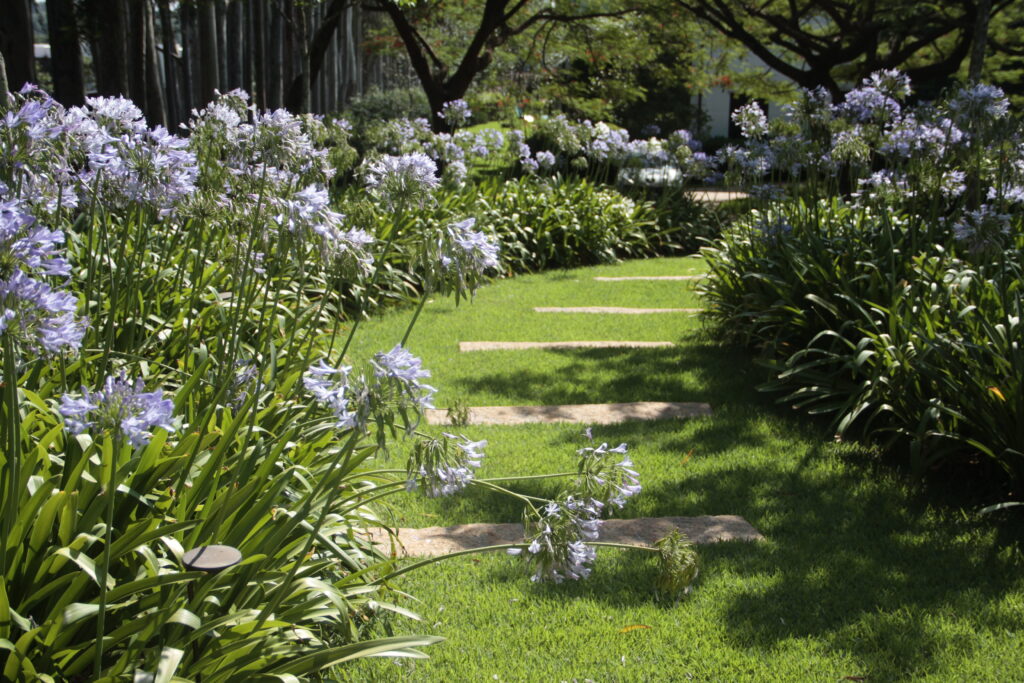 Paisagismo brasileiro desabrocha à sombra das tamareiras em flor 4 Paisagismo Renata Tilli