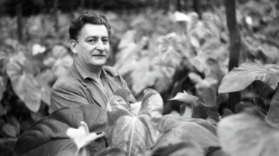 A pesquisa botânica que moldou a obra de Burle Marx