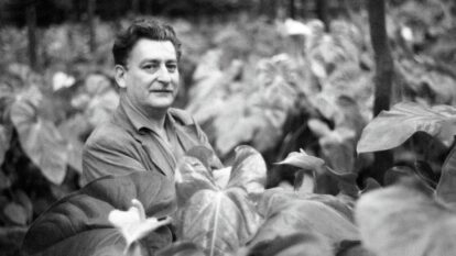 A pesquisa botânica que moldou a obra de Burle Marx