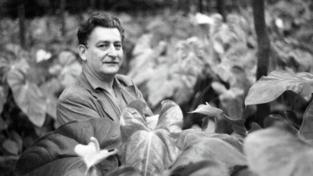 A pesquisa botânica que moldou a obra de Burle Marx