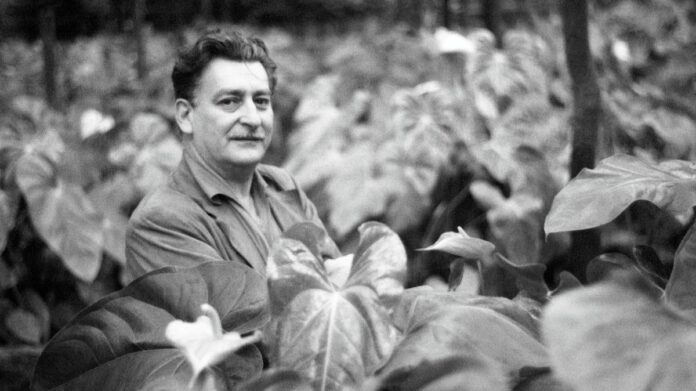 A pesquisa botânica que moldou a obra de Burle Marx