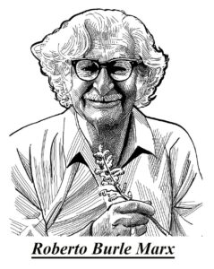 burlemarx